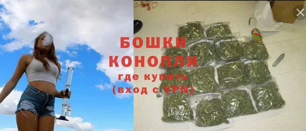 соль ск Богородицк