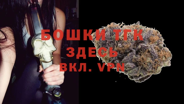 соль ск Богородицк