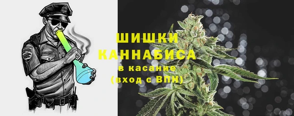 ECSTASY Богородск