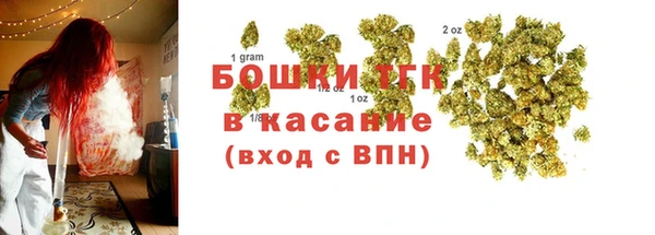 ECSTASY Богородск