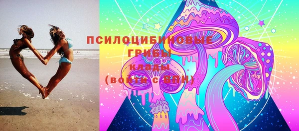 марки nbome Богданович