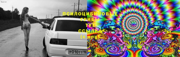 марки nbome Богданович