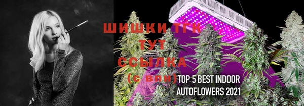соль ск Богородицк