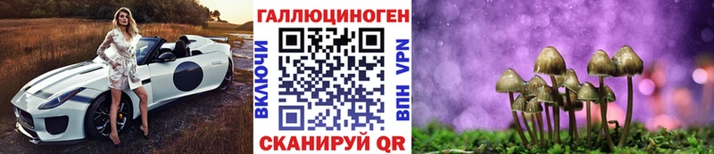 Купить закладки  Суджа  Галлюциногенные грибы Psilocybine cubensis 